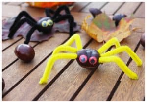 Un araignée pour une activité avec des marrons maternelle